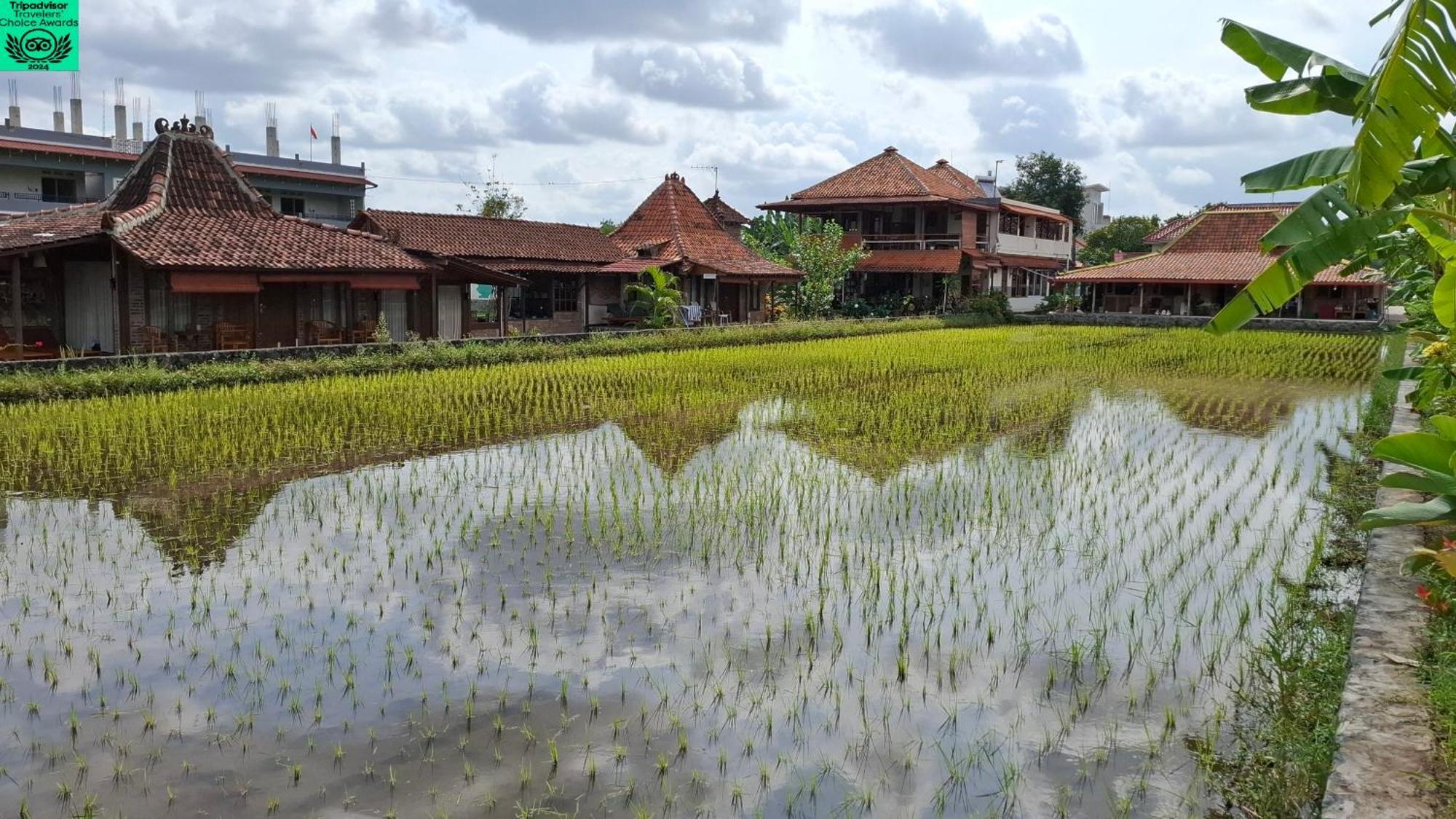 Alamanda Family Villas, Pool & Local Tours Yogyakarta Exterior foto