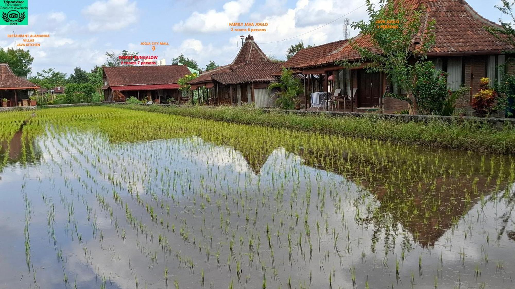 Alamanda Family Villas, Pool & Local Tours Yogyakarta Exterior foto